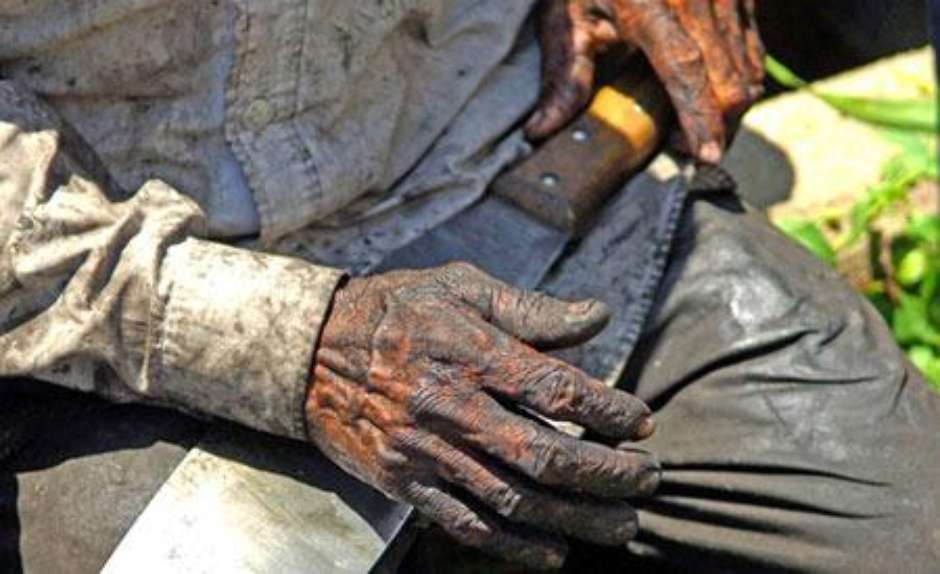 Fiscalização do MTE Resgata 12 Trabalhadores em Condições Análogas à Escravidão em Mato Grosso